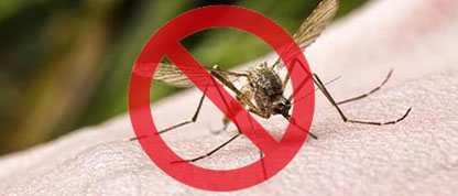 蚊子防治 蚊子防治